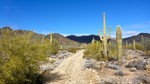 photo thumbnail #2