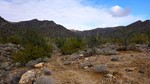 photo thumbnail #4