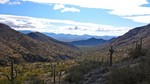 2016-01-08 :1: Webber Mine Trail - Harcuvar :: kingsnake