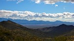 2016-01-08 :1: Webber Mine Trail - Harcuvar :: kingsnake