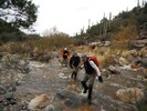 photo thumbnail #2