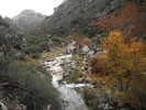 photo thumbnail #7