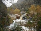 photo thumbnail #9