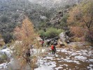 photo thumbnail #13