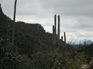 photo thumbnail #14