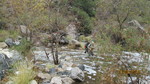 photo thumbnail #14