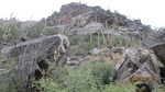 photo thumbnail #9