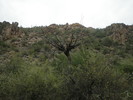 photo thumbnail #15