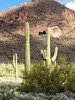 photo thumbnail #1