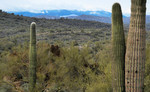 photo thumbnail #3