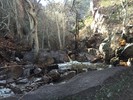photo thumbnail #14