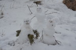 photo thumbnail #12