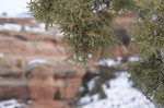 photo thumbnail #14