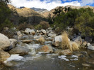 Featured Full Photo