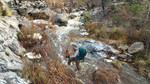 photo thumbnail #8