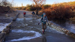photo thumbnail #2