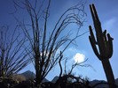 photo thumbnail #2