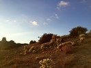 photo thumbnail #8