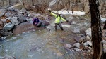 photo thumbnail #6