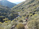 photo thumbnail #5