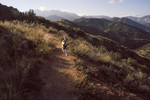 photo thumbnail #2