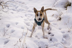 photo thumbnail #6