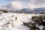 photo thumbnail #8