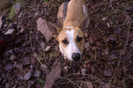 photo thumbnail #13