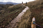 photo thumbnail #15