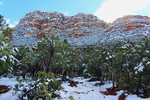 photo thumbnail #8