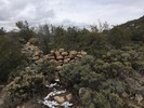 photo thumbnail #8