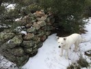 photo thumbnail #10