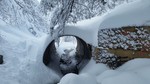 photo thumbnail #3