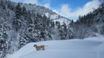 photo thumbnail #9