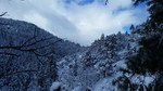 photo thumbnail #11