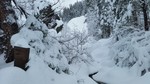 photo thumbnail #15