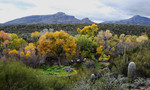 photo thumbnail #7