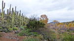 photo thumbnail #13