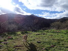 photo thumbnail #14