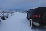 photo thumbnail #2