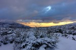 photo thumbnail #3