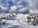 photo thumbnail #6