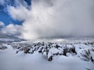 photo thumbnail #7