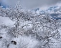 photo thumbnail #14
