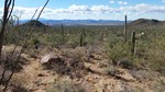 photo thumbnail #7