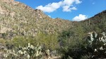 photo thumbnail #10