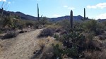 photo thumbnail #4