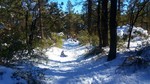 photo thumbnail #7