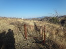 photo thumbnail #2