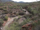 photo thumbnail #9